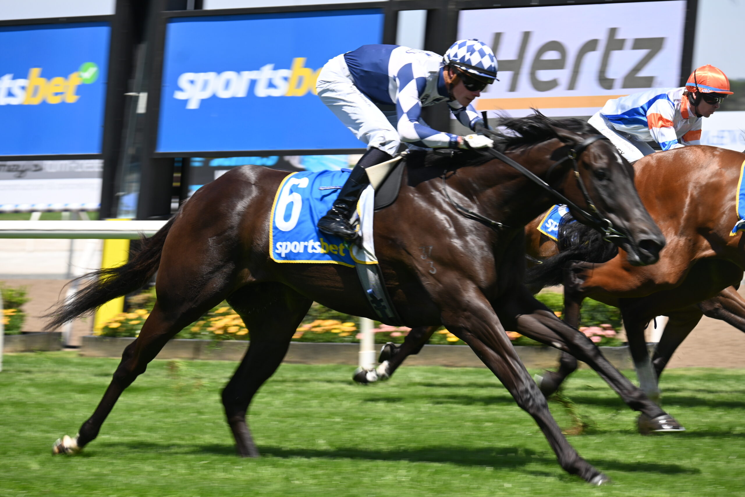 DSC_4731 LOT 302 VIC HUSSLER NEW HORSE PALACE PIER X DAME PATTIE