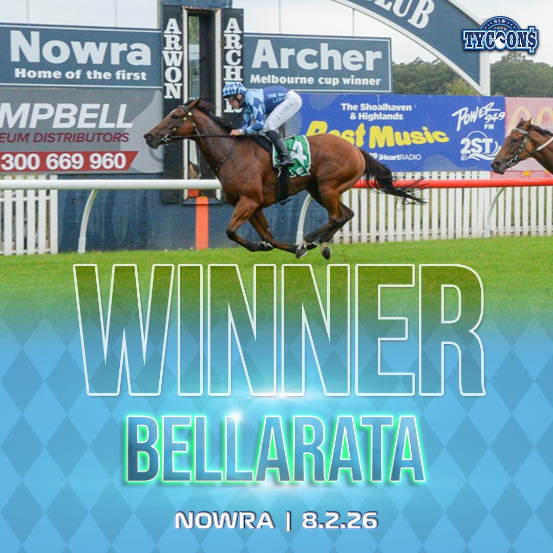 NSW Winner Post VIC HORSE WINNER BELLINGER 071224