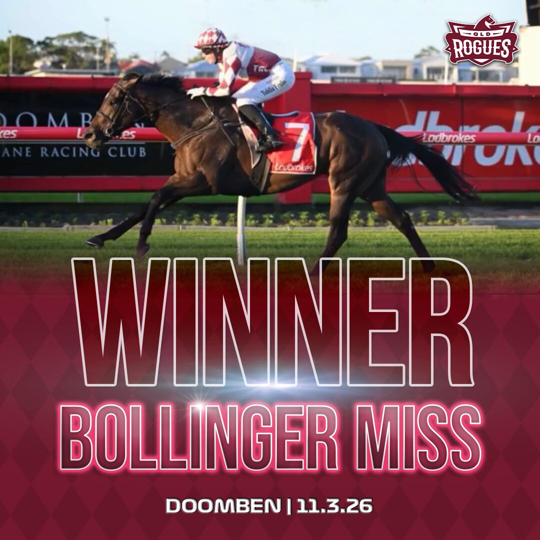 QLD Winner Post VIC HORSE WINNER BELLINGER 071224