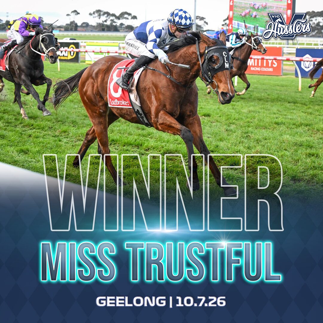 VIC Winner Post VIC HORSE WINNER BELLINGER 071224
