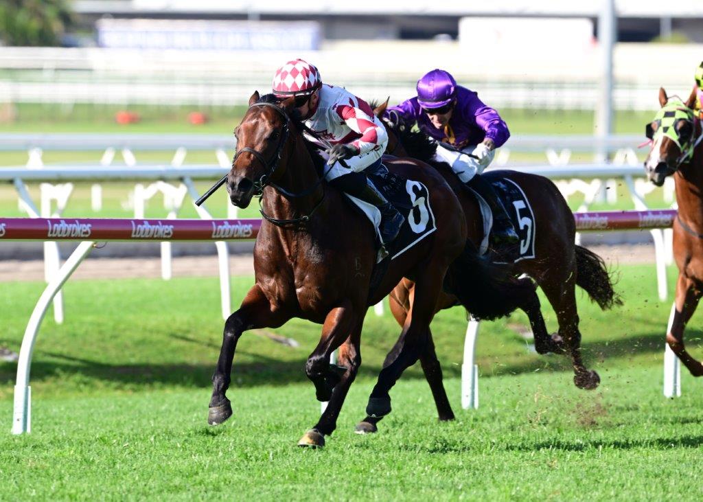Pierata x Artful Whisper Horse