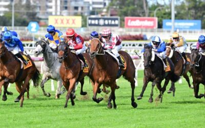 LARRIKIN GOES BACK TO BACK