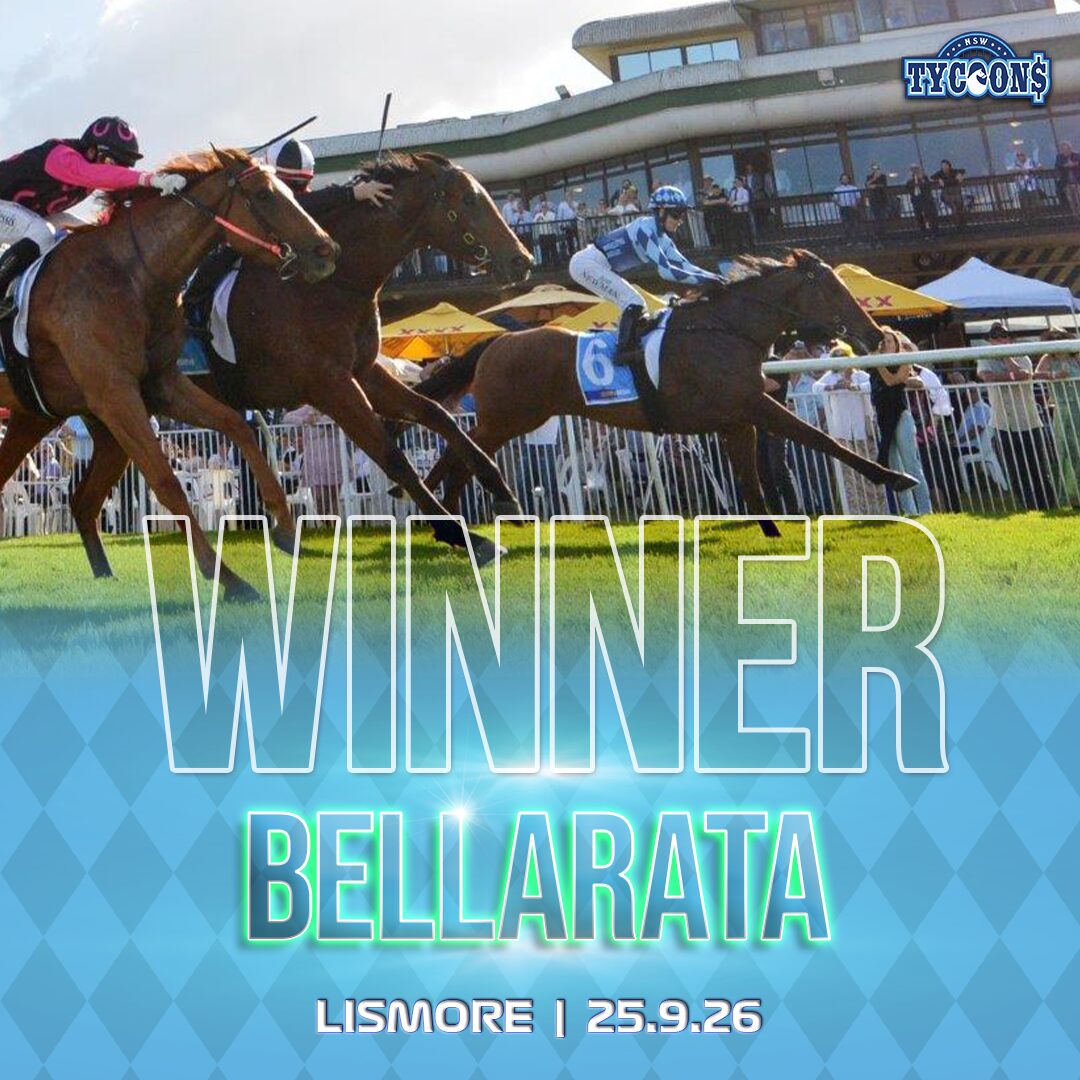VIC HORSE WINNER BELLINGER 071224
