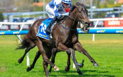 REGAL AMBITION CHASING GROUP 1 GLORY