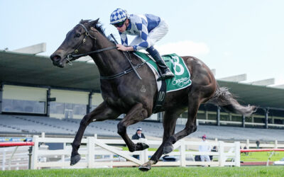 REGAL AMBITION – “A FILLY GOING PLACES”