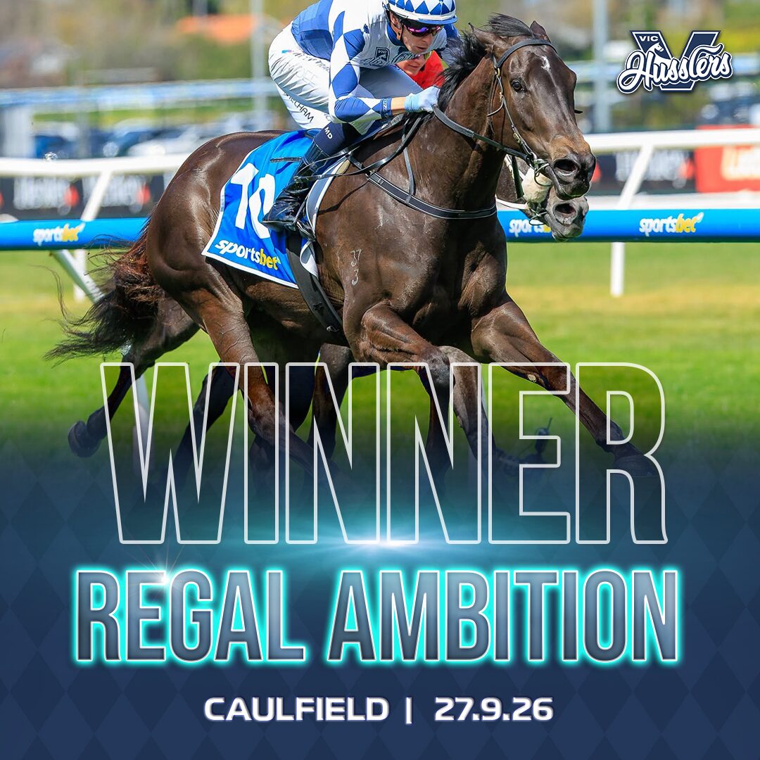 VIC HORSE WINNER BELLINGER 071224